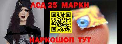 гидропоника Пушкино