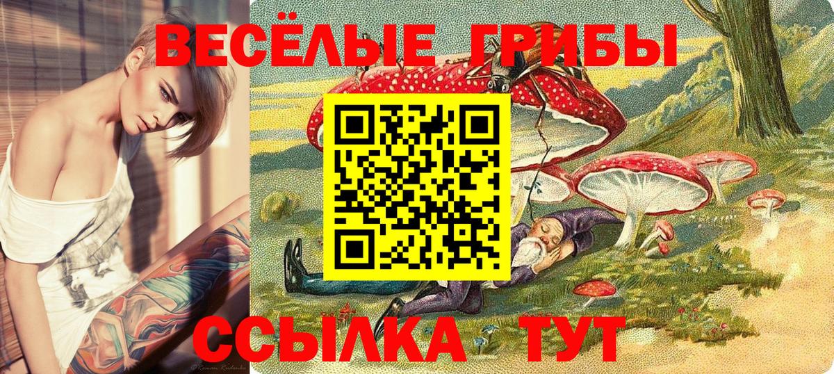 Псилоцибиновые грибы MAGIC MUSHROOMS  Вход с VPN  Реж  цена наркотик  Псилоцибиновые грибы GOLDEN TEACHER 